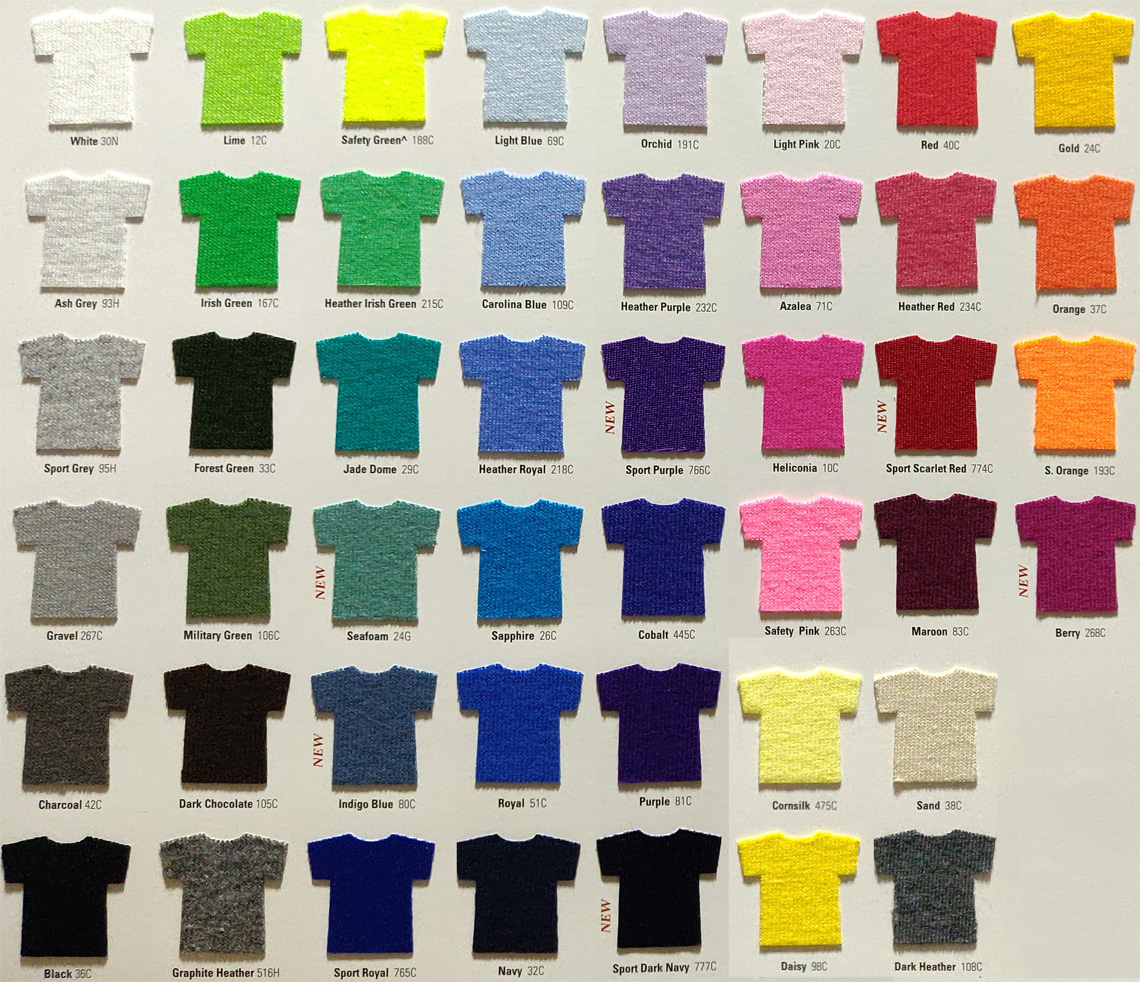 Cotton T-Shirt — Back View